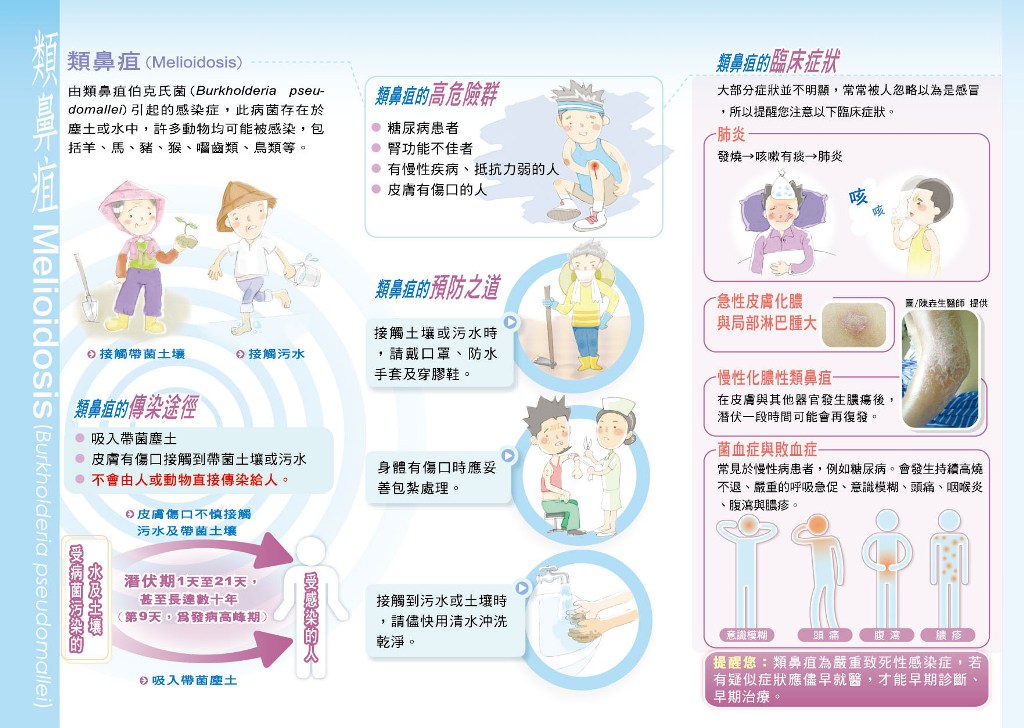 認識類鼻疽2